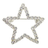 Silver Crystal Star Stainless Steel Brooch Pin - BR040