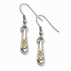Stainless Steel Polished & Yellow IP-plated CZs Dangle Earrings