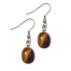 Stainless Steel Tiger's Eye Earrings