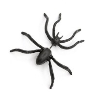 Halloween Fashion 1 Pairs Spider Earrings (Black)