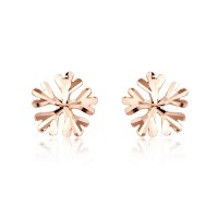 Snow Flake Stud Earrings - E570