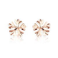 Snow Flake Stud Earrings - E570