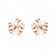 Snow Flake Stud Earrings - E570