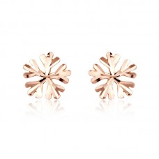 Snow Flake Stud Earrings - E570