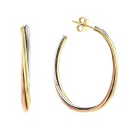 Stainless Steel Earrings Tri-Tone Twist Oval Hoop Earrings - E833